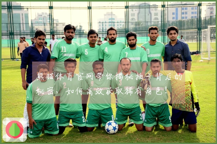 熊猫体育官网带你揭秘抽卡背后的秘密，如何高效获取稀有角色！