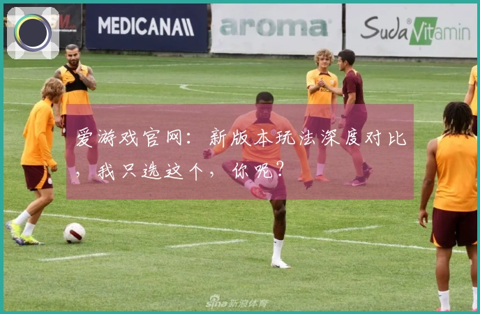 爱游戏官网：新版本玩法深度对比，我只选这个，你呢？
